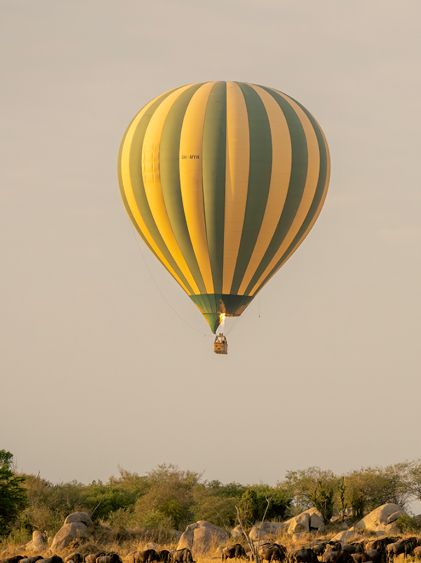 Safaris en Globo Aerostático