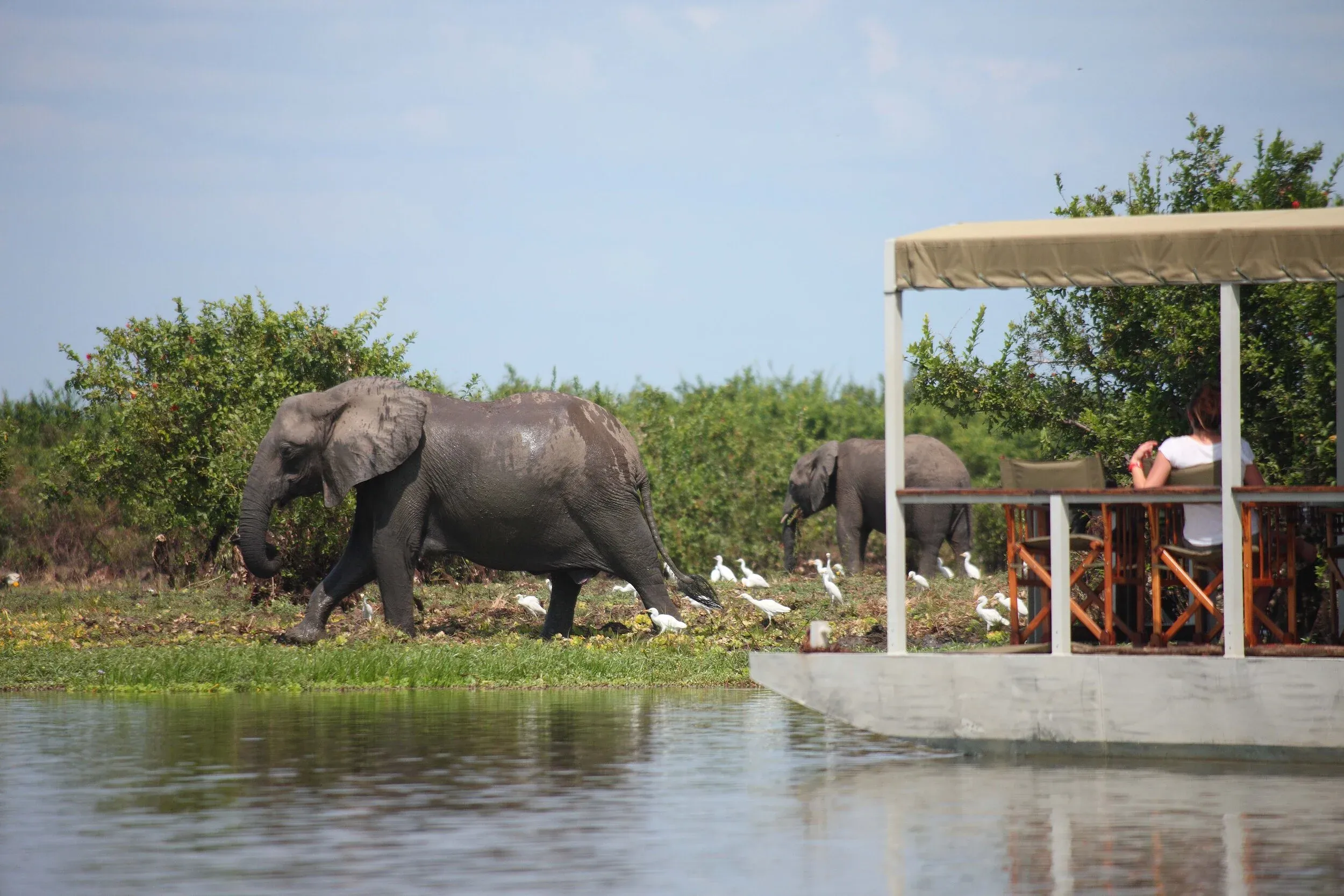 A boat safari gliding down the Rufiji River in the Selous Game Reserve, Tanzania