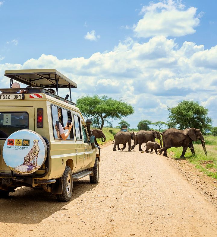 Bespoke Safari Curations