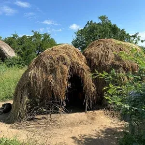 Hadzabe hunters with handmade bows and arrows preparing for the morning hunt near Lake Eyasi