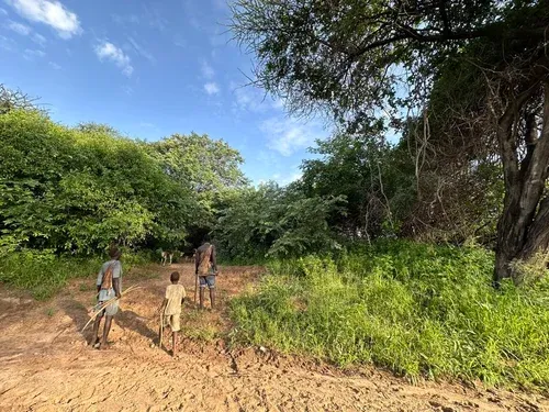 Hadzabe camp life and daily routines near Lake Eyasi