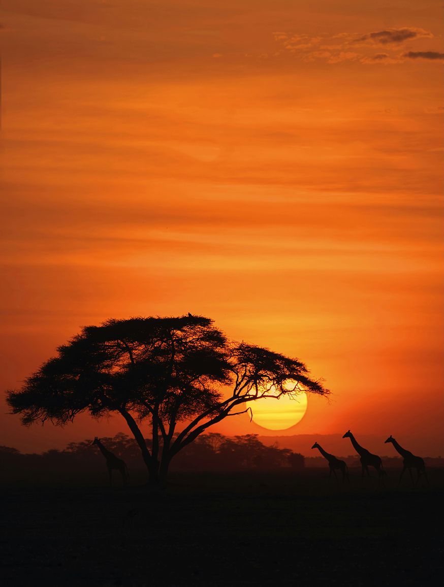 Amboseli