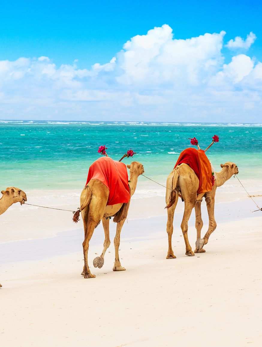 Diani Beach
