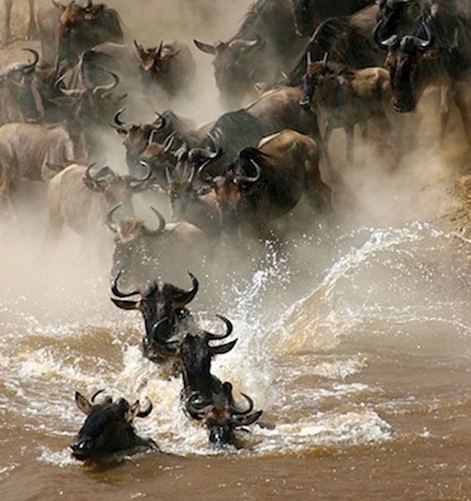 Why Visit Kenya?