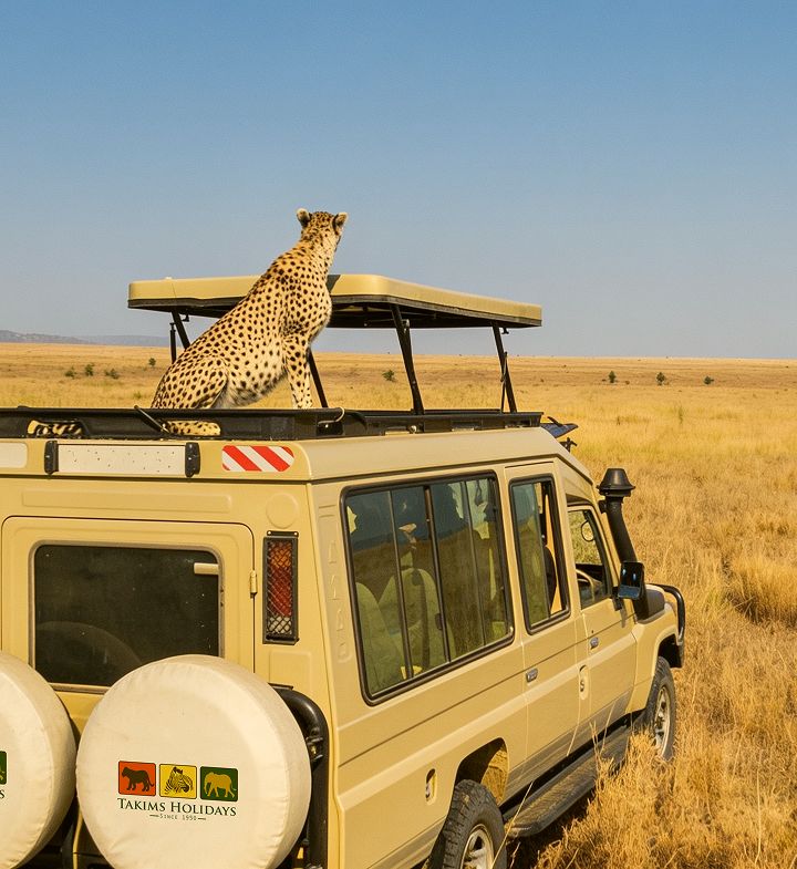 Safaris a Medida