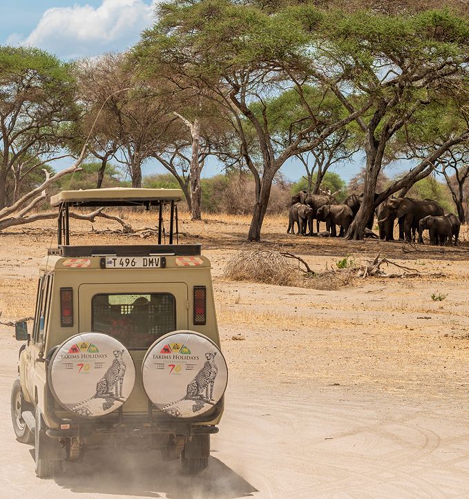 Planification Responsable des Safaris