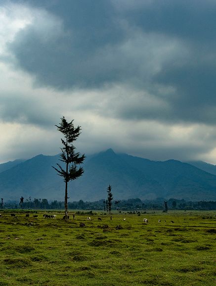 Musanze