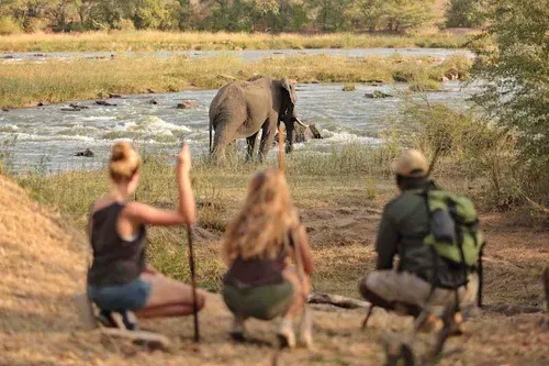 Six Reasons to Visit the Selous Game Reserve