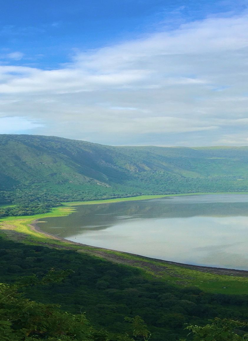 Ngorongoro