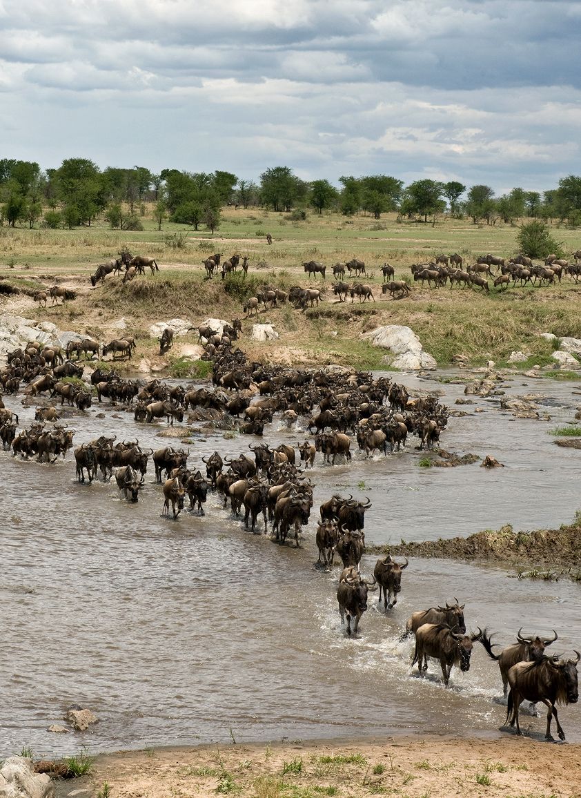 Serengeti National Park