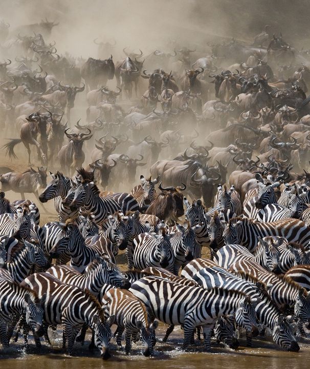 Serengeti National Park