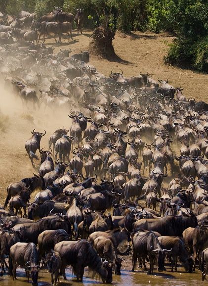 Tanzania