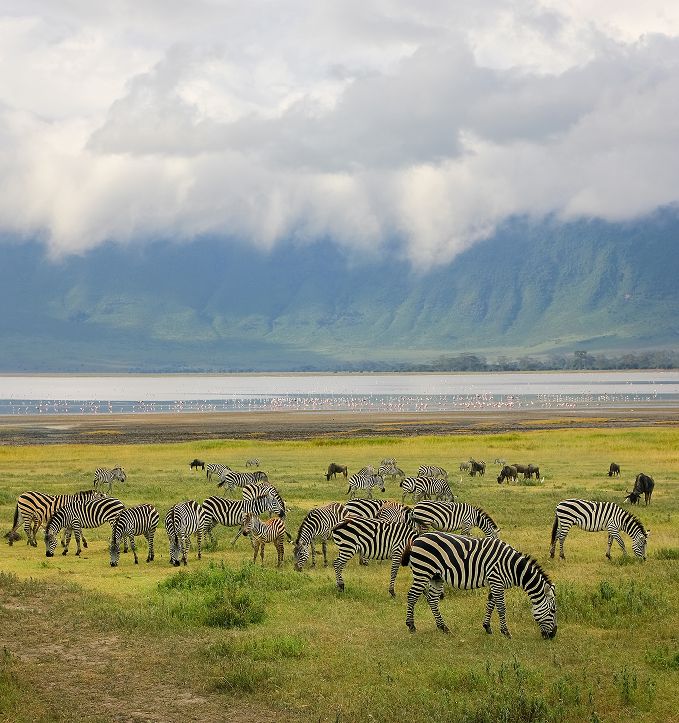 Why visit Tanzania
