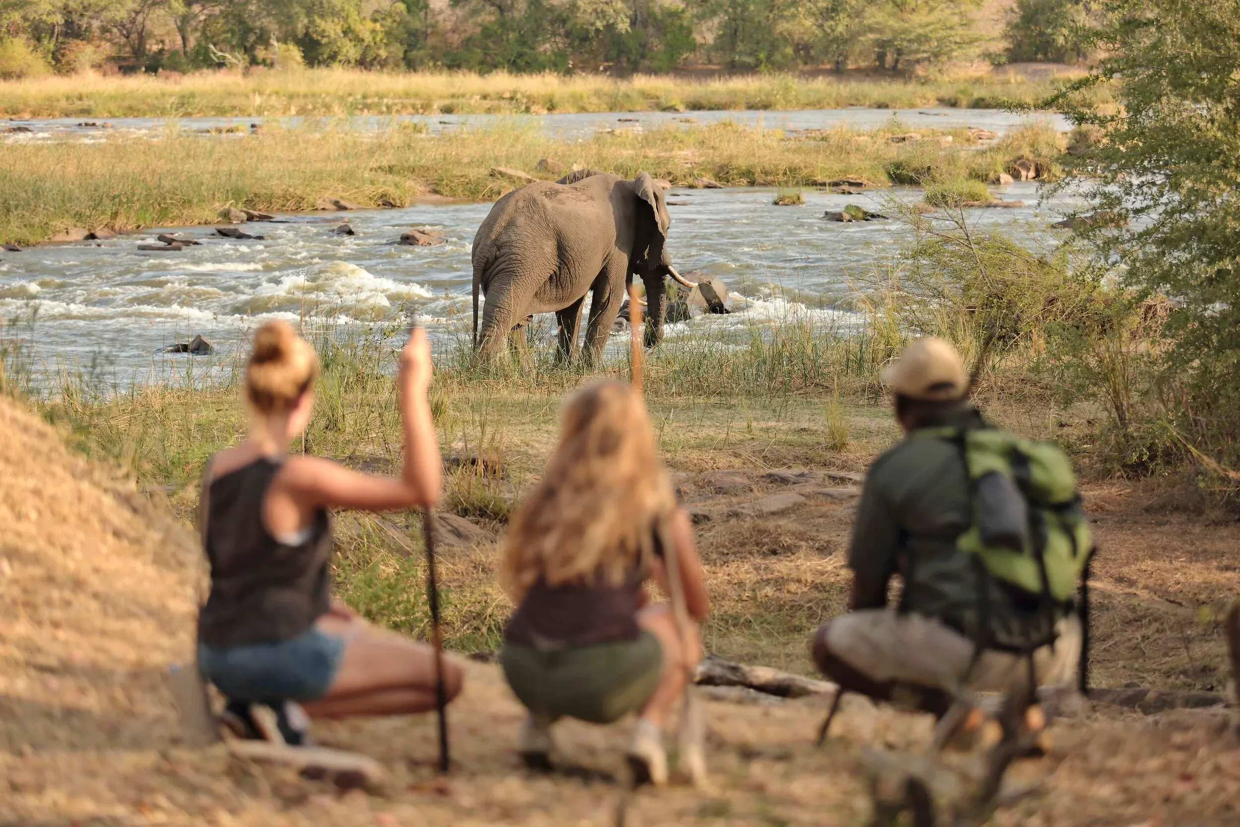 A boat safari gliding down the Rufiji River in the Selous Game Reserve, Tanzania